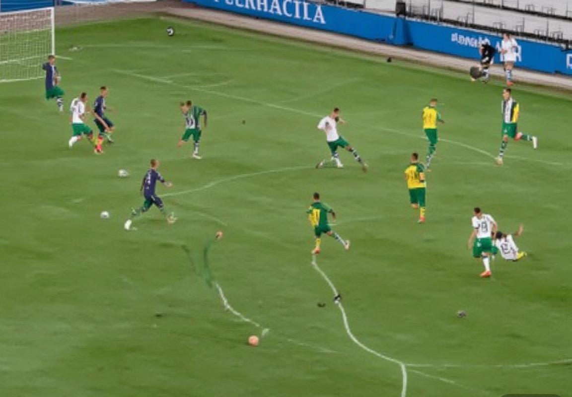 2017欧预赛：爱尔兰VS塞尔维亚战术对决与心理较量回顾(图3)