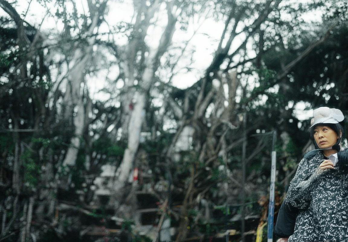 阪樱花VS广岛三箭：赛季目标、战术对决与未来展望(图1)